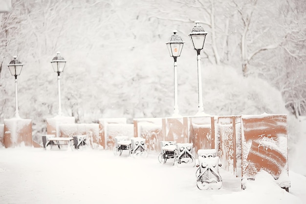 parc d'hiver, paysage urbain en hiver / paysage neige, ville, arbres dans un parc de la ville au nord