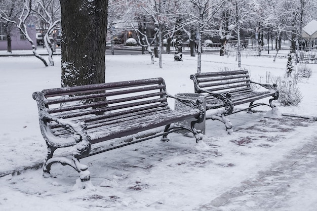 Parc d'hiver recouvert de neige blanche