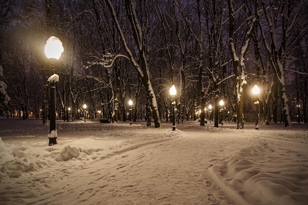 Parc d'hiver le soir recouvert de neige avec lampadaires inclus.