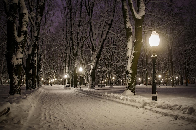 Parc d'hiver le soir recouvert de neige avec une rangée de lampes.