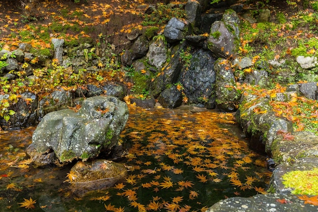 Parc japonais traditionnel à l'automne