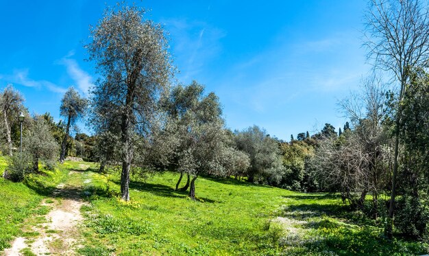 Le parc de Monserrato Sassari en journée ensoleillée