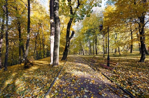 Parc municipal d'automne avec sentier et bancs.