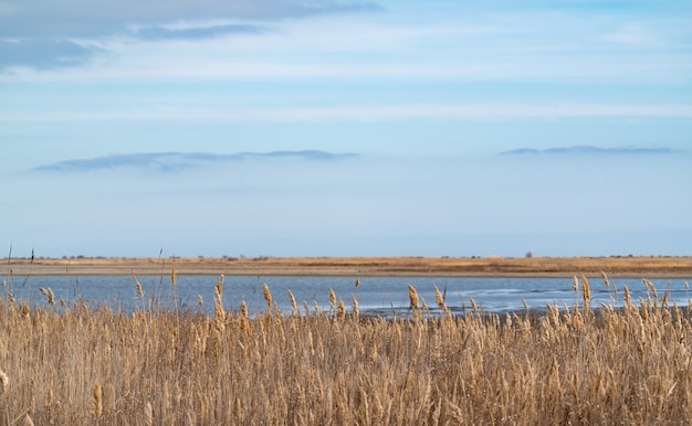 Parc national d'Absheron, réserve faunique