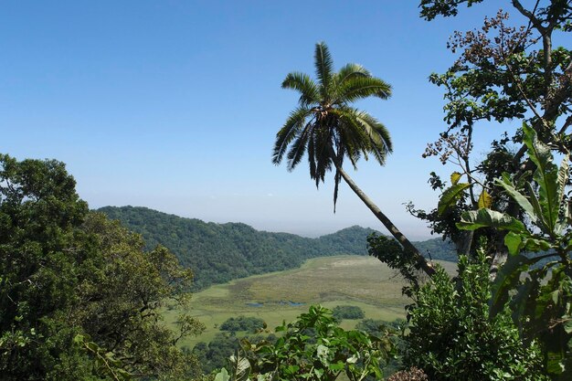 Photo le parc national d'arusha en afrique