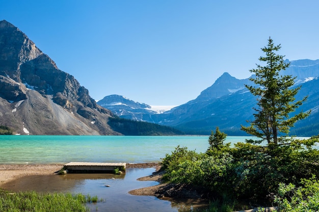 Parc national de Banff beau paysage Bow Lake en été Alberta Canada Canadian Rockies