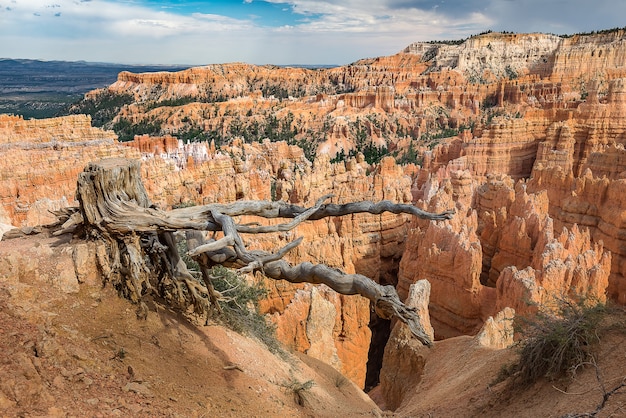 parc national de bryce canyon de négliger