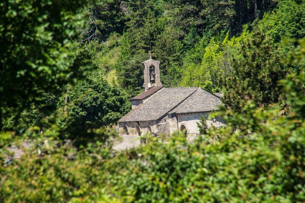 Parc national des Cévennes