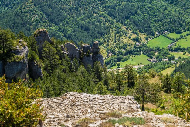 Parc national des Cévennes