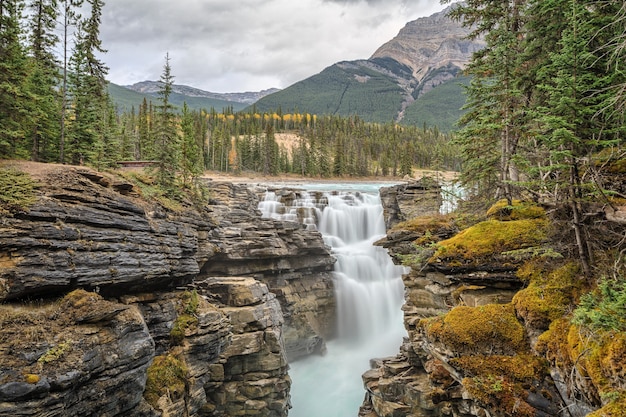 Parc national des chutes athabasca jasper canada