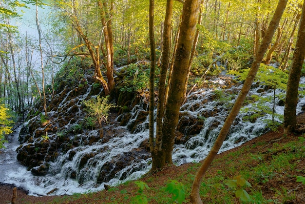 Parc national croate des lacs de Plitvicka