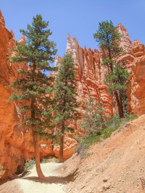 Le parc national du canyon de Bryce