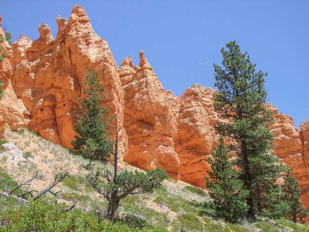 Le parc national du canyon de Bryce