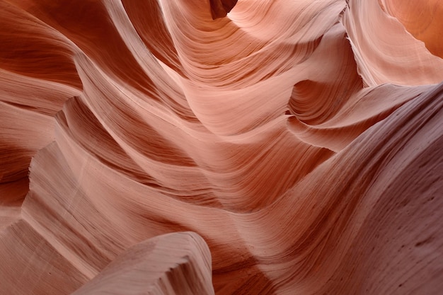 Parc national du Grand Canyon