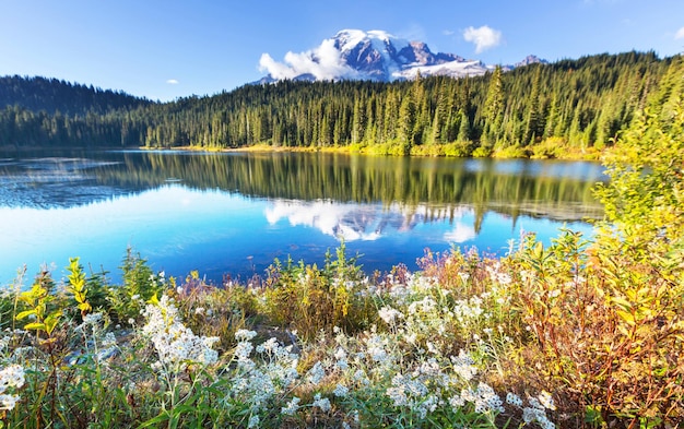 Parc national du mont Rainier, Washington