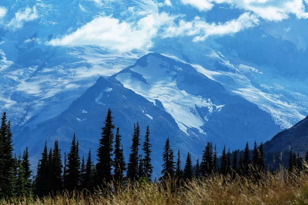 Parc national du mont Rainier, Washington