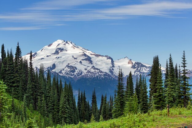 Parc national du mont Rainier, Washington