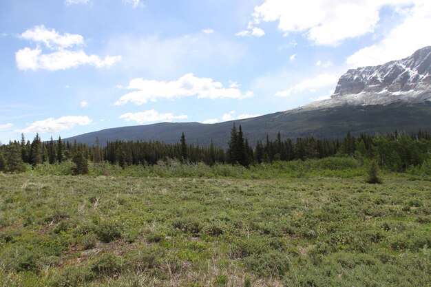 Parc national des Glaciers Montana