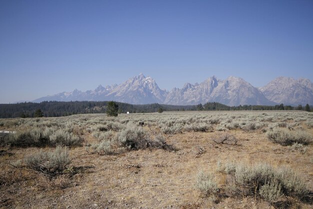 Parc national de Grand Teton dans le Wyoming, États-Unis