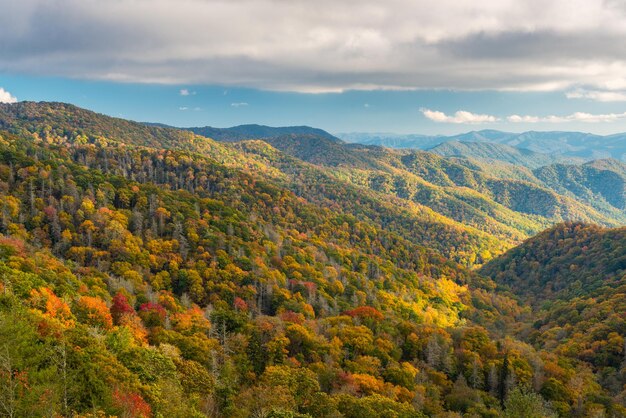 Photo le parc national des great smoky mountains, dans le tennessee, aux états-unis, au col de newfound