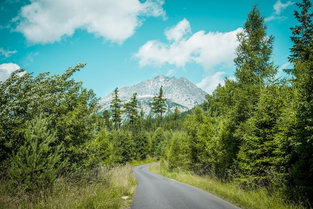 Parc national des Hautes Tatras, Slovaquie, Europe. Chemin de randonnée vers le lac de montagne Batizovske pleso et Sliez