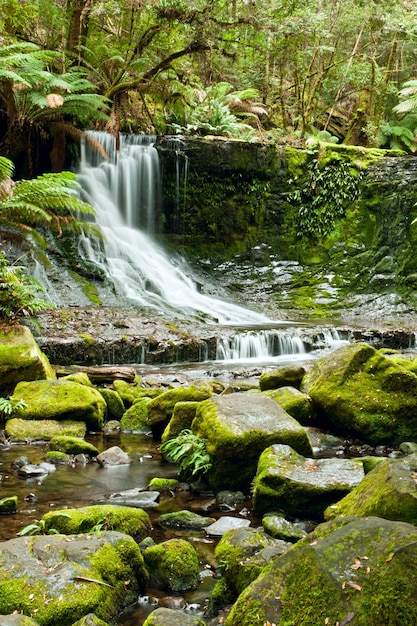 Photo le parc national de horseshoe falls mt field en tasmanie