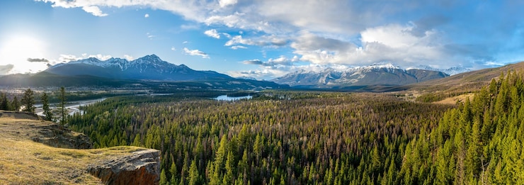 Photo parc national de jasper rocheuses canadiennes de beaux paysages vue panoramique forêt de la vallée de la rivière athabasca
