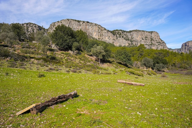 Parc national de Koprulu Kanyon à Antalya Turkiye