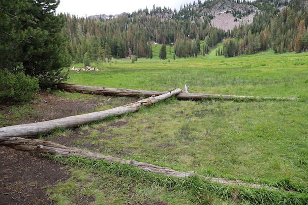 Parc national de Lassen en Californie