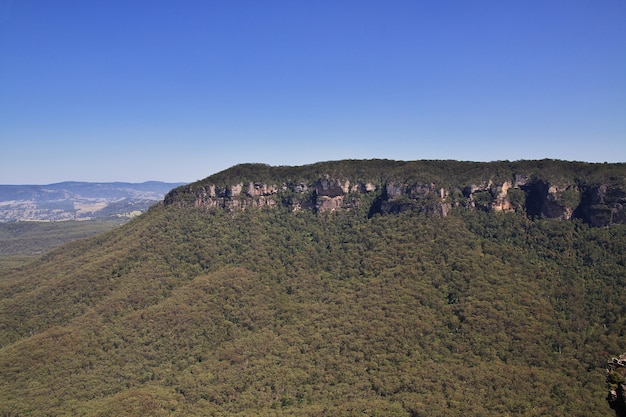 Parc national des montagnes bleues, Australie