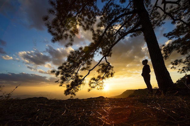 Parc national de Phu Kradueng, Thaïlande.