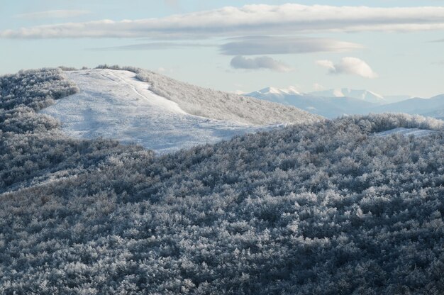 Photo le parc national de poloniny durkovec, en slovaquie