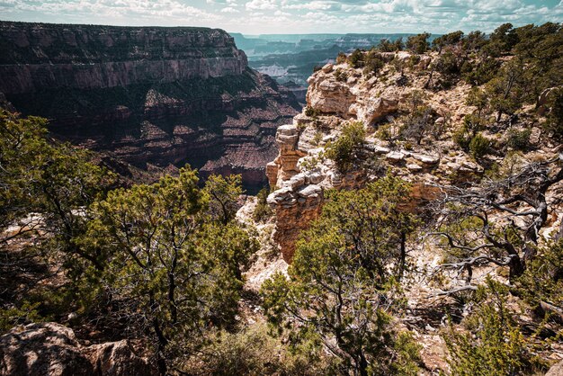 Parc national de la rive sud du grand canyon en arizona