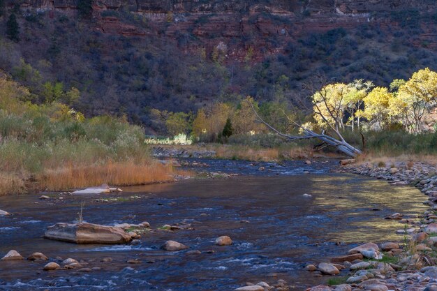 Parc national de la rivière Virgin Zion