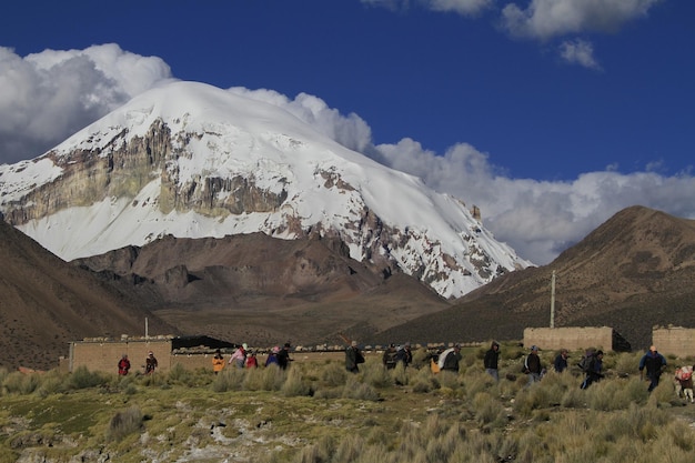 Parc National Sajama Bolivie