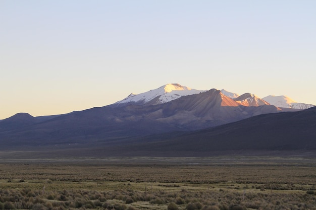 Parc National Sajama Bolivie