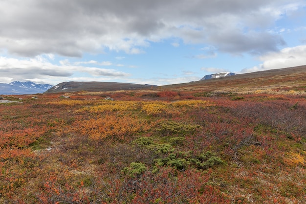 Parc national de Sarek en Laponie vue depuis la montagne