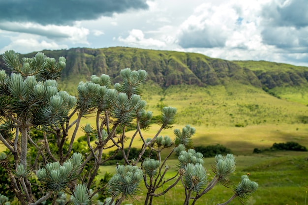 Parc national serra canastra brésil