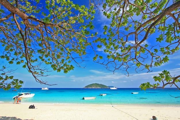 Parc national de Similan, île paradisiaque située au sud de la Thaïlande