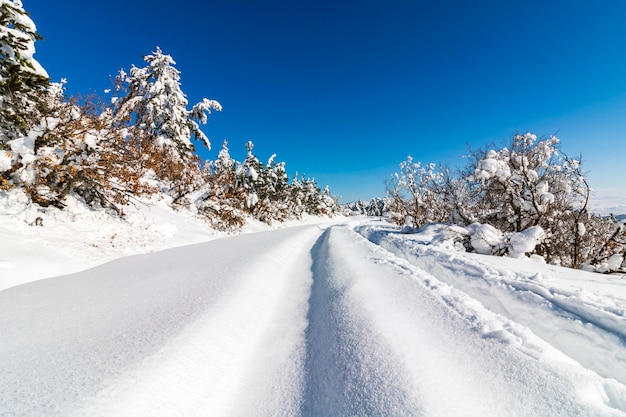 Parc national de Soguksu, hiver, neige, forêt, Kizilcahamam, Ankara