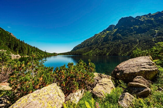 Parc national des Tatras en Pologne célèbre lac de montagnes Morskie oko ou lac Sea Eye dans les Hautes Tatras vallée des cinq lacs