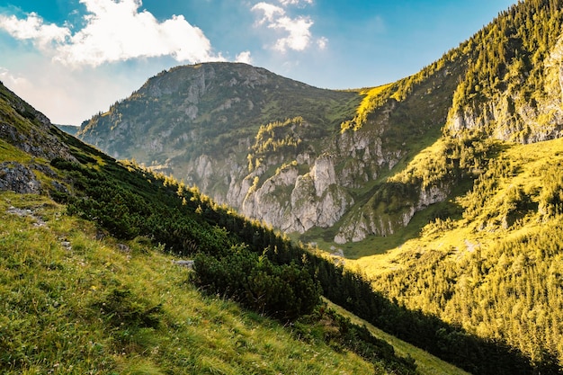 Parc national des Tatras en Pologne Panorama des montagnes des Tatras Pologne fleurs colorées et chalets dans la vallée de Gasienicowa Hala Gasienicowa Randonnée dans la nature près de Kasprowy Wierch
