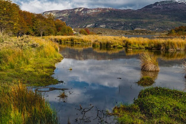 Parc national de la Terre du Feu en Patagonie argentine