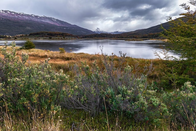 Parc national de la Terre du Feu en Patagonie argentine