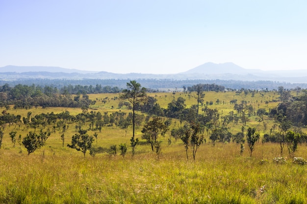 Parc national de Thung Salaeng Luang