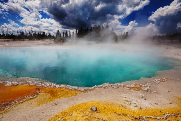 Parc national de Yellowstone, États-Unis