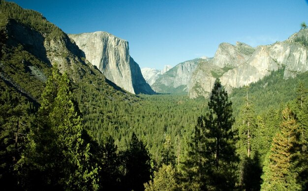 Le parc national de Yosemite