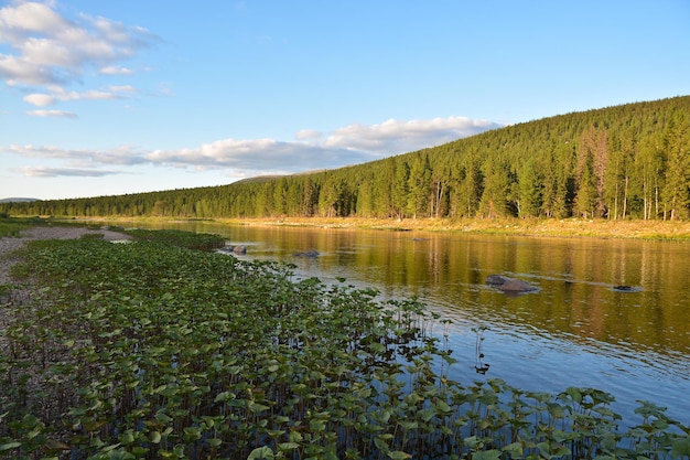 Parc national Yugyd va Forêts vierges de Komi