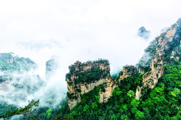 Parc national de Zhangjiajie. Célèbre attraction touristique à Wulingyuan, Hunan, Chine. Paysage naturel incroyable avec des montagnes de quartz de piliers en pierre dans le brouillard et les nuages.