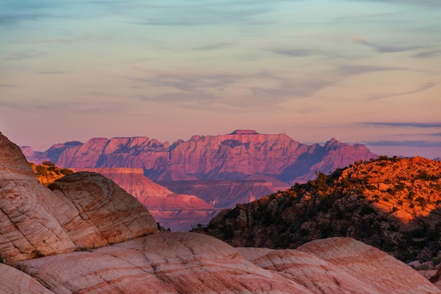 Parc national de Zion au lever du soleil. Utah, États-Unis